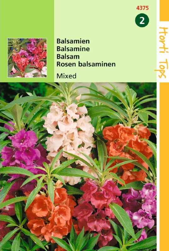 Busy Lizzy Balsamien Mix (Impatiens) 150 seeds